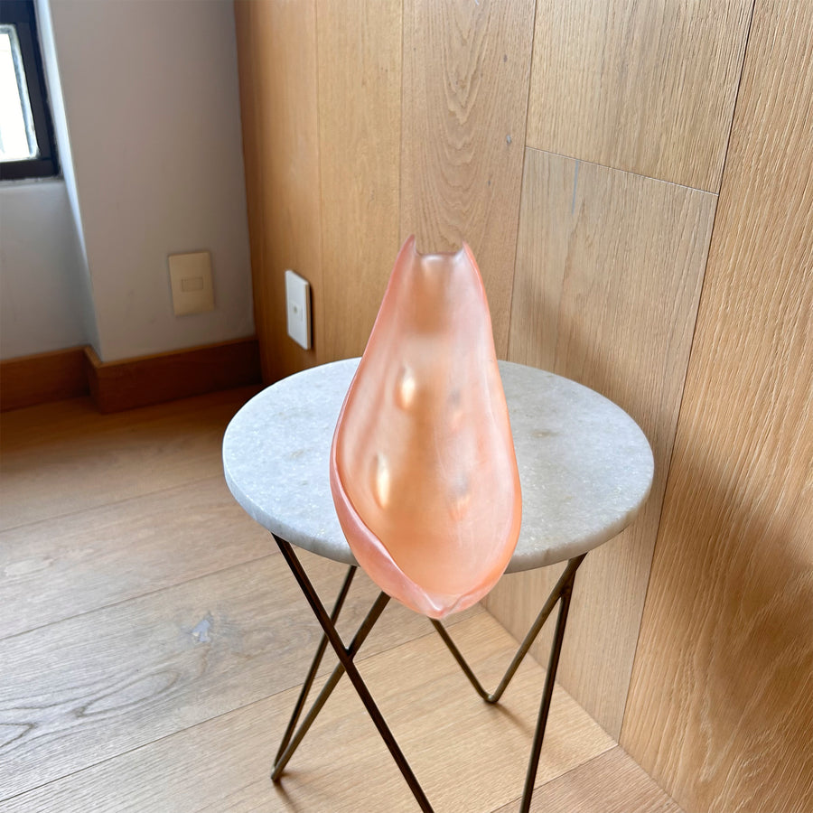 Bowl Decorativo Palma de Coco - Tangerine